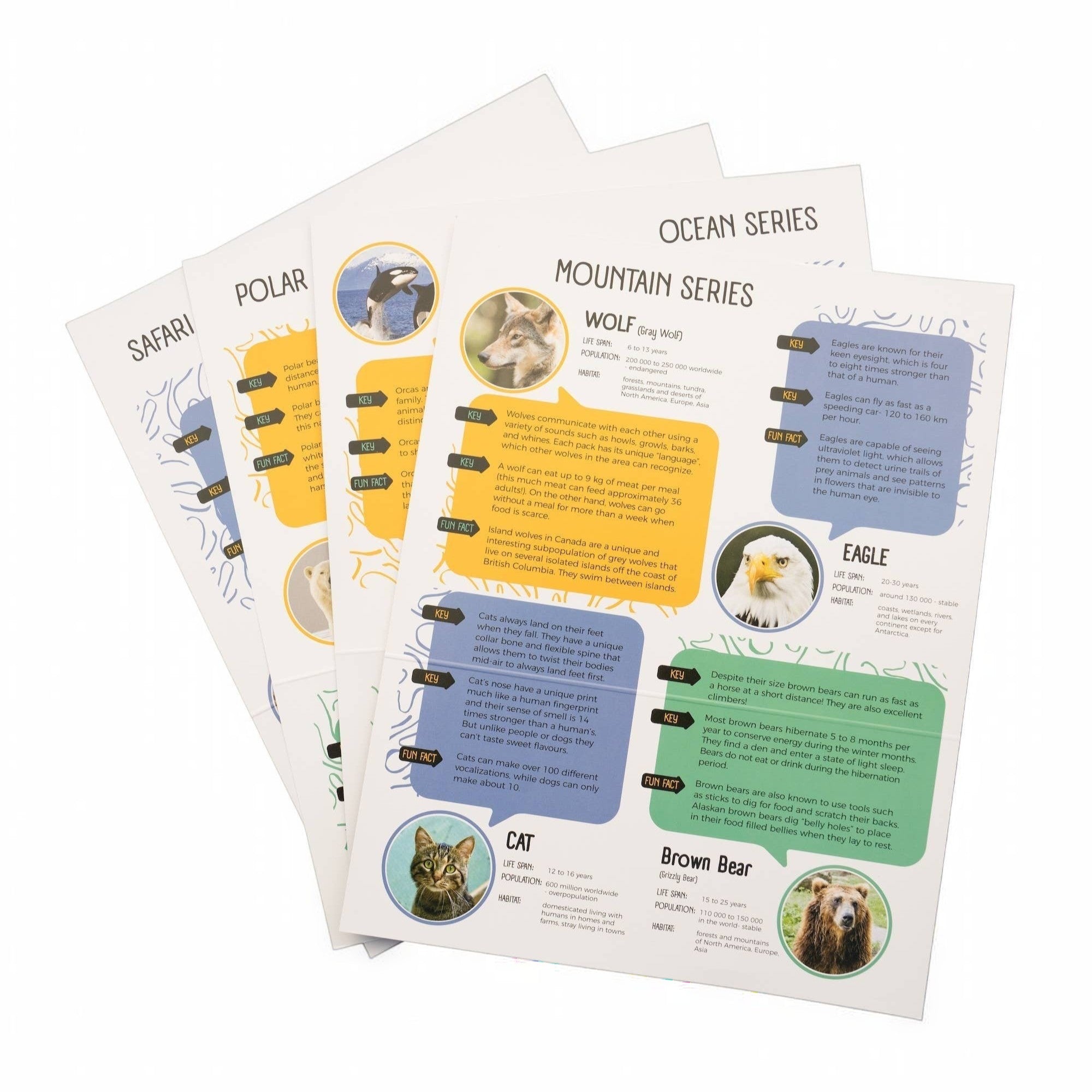 Penguroo® Gifts Inc. Alabaster Penguin Carving Kit for kids, includes carving tools and polishing materials.